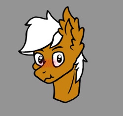 Size: 756x715 | Tagged: safe, artist:creatorjessie, oc, oc only, oc:breezy brown, pony, blushing, brown fur, bust, ear fluff, gray background, looking at you, lowres, male, portrait, simple, simple background, solo, stallion, white hair, white mane
