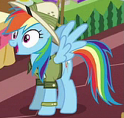 Size: 505x482 | Tagged: safe, screencap, rainbow dash, pegasus, pony, g4, season 6, stranger than fan fiction, clothes, cosplay, costume, cropped, female, mare