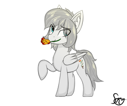 Size: 1200x1000 | Tagged: safe, oc, oc only, oc:light knight, pony, ear fluff, flower, flower in mouth, mouth hold, rose, simple background, solo, white background