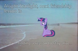 Size: 1087x720 | Tagged: safe, artist:slb94, edit, editor:notxweeb, twilight sparkle, alicorn, pony, g4, beach, crying, irl, meme, photo, ponies in real life, sad smile, solo, twilight sparkle (alicorn)