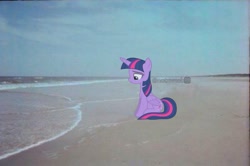 Size: 1087x720 | Tagged: safe, alternate version, artist:slb94, edit, editor:notxweeb, twilight sparkle, alicorn, pony, g4, beach, crying, female, irl, looking down, man, man (meme), mare, meme, photo, sad smile, sitting, twilight sparkle (alicorn), watermark