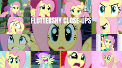 Size: 1280x721 | Tagged: safe, edit, edited screencap, editor:quoterific, screencap, fluttershy, pegasus, pony, bats!, castle mane-ia, friendship is magic, g4, keep calm and flutter on, stare master, sweet and smoky, the best night ever, clothes, crying, cute, cute puppy dog eyes, fluttercry, fluttershy is not amused, flying, puppy dog eyes, shyabetes, solo, stare, tears of fear, unamused, winter outfit, you're going to love me