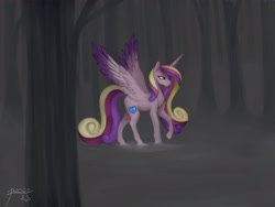 Size: 4000x3000 | Tagged: safe, artist:skruxghost, princess cadance, alicorn, pony, g4, female, forest, mare, solo