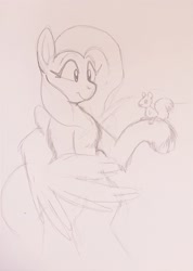 Size: 2009x2819 | Tagged: safe, artist:yidwags, fluttershy, pegasus, pony, squirrel, g4, bipedal, cute, daaaaaaaaaaaw, high res, raised hoof, shyabetes, sketch, traditional art