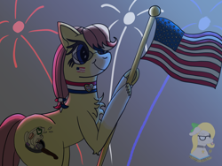 Size: 1600x1200 | Tagged: safe, artist:gray star, derpibooru exclusive, oc, oc:sunny side(gray star), 4th of july, face paint, female, fireworks, flag, glasses, holiday, trans female, transgender