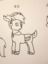 Size: 948x1263 | Tagged: safe, artist:autumnsfur, oc, oc only, pony, clothes, hoodie, looking back, solo, traditional art