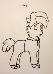 Size: 675x938 | Tagged: safe, artist:autumnsfur, oc, oc only, earth pony, pony, clothes, earth pony oc, hoodie, solo, traditional art