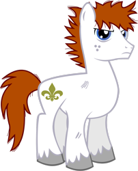 Size: 2200x2725 | Tagged: safe, artist:lt-fleur, oc, oc only, oc:fleur, earth pony, pony, fanfic:rainbow factory, g4, fanfic art, freckles, high res, male, scuff mark, simple background, solo, stallion, transparent background, unshorn fetlocks, vector