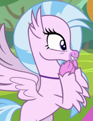 Size: 822x1064 | Tagged: safe, screencap, silverstream, classical hippogriff, hippogriff, g4, school daze, cropped, cute, diastreamies, female, solo