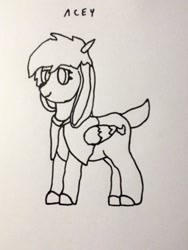 Size: 924x1232 | Tagged: safe, artist:autumnsfur, oc, oc only, pegasus, pony, cloak, clothes, lineart, pegasus oc, smiling, solo, traditional art, wings