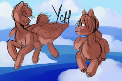 Size: 1600x1063 | Tagged: safe, artist:fajnk, oc, alicorn, pegasus, pony, advertisement, auction, auction open, blushing, cloud, cloudy, commission, female, flying, generic pony, male, mare, pair, sky, smiling, soft, stallion, wings, ych example, ych sketch, your character here