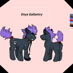 Size: 2000x2000 | Tagged: safe, artist:skullfugg, oc, oc:onyx gallantry, earth pony, pony, collar, earth pony oc, high res, leash, pony pet, reference sheet, simple background, solo, spiked collar, tail wrap