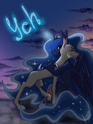 Size: 3000x4000 | Tagged: safe, artist:stirren, princess luna, oc, oc only, alicorn, pony, g4, commission, night, sky, solo, your character here