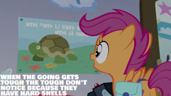 Size: 1280x720 | Tagged: safe, edit, edited screencap, editor:quoterific, screencap, scootaloo, pegasus, pony, turtle, g4, parental glideance, season 7, bag, camera, female, filly, open mouth, poster, saddle bag, solo, spread wings, wings, written equestrian