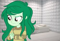Size: 1283x890 | Tagged: safe, wallflower blush, equestria girls, equestria girls specials, g4, my little pony equestria girls: better together, my little pony equestria girls: forgotten friendship, angry, asylum, clothes, female, insane asylum, institutionalized, irl, padded cell, photo, punish the villain, solo, stock image, sweater, wallflower gets what's coming to her