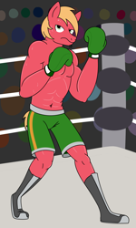 Size: 3492x5820 | Tagged: safe, artist:aaron amethyst, big macintosh, earth pony, anthro, plantigrade anthro, g4, audience, boxing, boxing gloves, boxing ring, boxing shorts, clothes, cosplay, costume, little mac (punch-out!!), looking at you, male, shoes, shorts, solo, sports, sweat