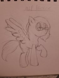 Size: 1536x2048 | Tagged: safe, artist:omniants, oc, oc only, oc:speed-flyer, pegasus, pony, glasses, practice drawing, solo, traditional art