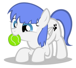 Size: 1940x1720 | Tagged: safe, artist:strategypony, oc, oc only, oc:snow pup, pegasus, pony, ball, behaving like a dog, cute, female, filly, foal, nom, simple background, tennis ball