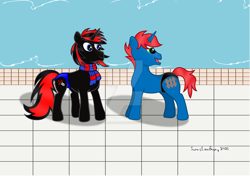 Size: 1024x726 | Tagged: safe, artist:sorasleafeon, oc, oc only, oc:shadow sora, oc:train track, pony, unicorn, clothes, duo, duo male, horn, male, poolside, red and black oc, scarf, signature, smiling, speedo, speedos, swimming pool, swimsuit, unicorn oc, water