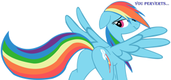 Size: 8000x3782 | Tagged: safe, artist:laszlvfx, rainbow dash, pegasus, pony, g4, absurd resolution, bedroom eyes, butt, buttcheeks, featureless crotch, female, irritated, looking back, mare, plot, rainbow dash is not amused, rainbutt dash, raised eyebrow, rear view, sexy, simple background, solo, spread wings, tail, text, transparent background, unamused, vector, wings
