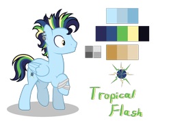 Size: 1890x1338 | Tagged: safe, artist:sarasdream04, oc, oc only, oc:tropical flash, pegasus, pony, male, offspring, parent:rainbow dash, parent:soarin', parents:soarindash, reference sheet, simple background, solo, stallion, transparent background