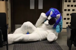 Size: 960x640 | Tagged: safe, dj pon-3, vinyl scratch, human, g4, clothes, cosplay, costume, fursuit, irl, irl human, lying down, photo, solo, vinyl's glasses