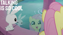Size: 1280x720 | Tagged: safe, edit, edited screencap, editor:quoterific, screencap, angel bunny, fluttershy, pegasus, pony, rabbit, g4, season 9, she talks to angel, angelbetes, animal, body swap, cute, duo, female, fountain, male, mare, open mouth, reflection, role reversal, shyabetes, smiling, tongue out