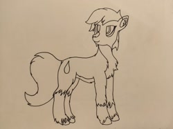 Size: 1446x1080 | Tagged: safe, artist:autumnsfur, oc, oc only, oc:skyena, earth pony, pony, chest fluff, earth pony oc, looking back, ponysona, solo, traditional art, unshorn fetlocks