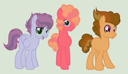 Size: 1420x820 | Tagged: safe, artist:fluffy-fillies, oc, oc only, earth pony, pegasus, pony, base used, deviantart green, green background, male, offspring, parent:big macintosh, parent:cheese sandwich, parent:pinkie pie, parent:rainbow dash, parent:soarin', parents:cheesedash, parents:pinkiemac, parents:soarinpie, simple background, stallion