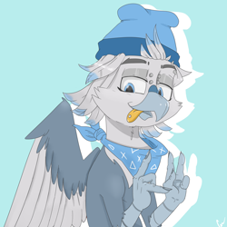 Size: 5000x5000 | Tagged: safe, artist:xasslash, oc, oc only, oc:flynn the icecold, griffon, bandana, beanie, hat, piercing, simple background, solo, tongue out