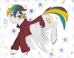 Size: 1879x1491 | Tagged: safe, artist:hotots, oc, oc only, oc:lundashy, pegasus, pony, abstract background, clothes, fangs, male, multicolored mane, multicolored tail, signature, solo, spread wings, stallion, unshorn fetlocks, wings