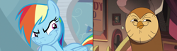 Size: 3656x1072 | Tagged: safe, rainbow dash, bird, demon, owl, pegasus, pony, g4, tanks for the memories, bug demon, comparison, disney, hooty, house demon, rainbow dash is best facemaker, spoilers for another series, the owl house