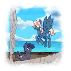 Size: 750x750 | Tagged: dead source, safe, artist:patty-plmh, oc, oc only, oc:aerostorm, oc:bruce, earth pony, pegasus, pony, pandoraverse, animated, beach, braid, cloud, duo, earth pony oc, flying, frown, hair over eyes, male, ocean, offspring, outdoors, parent:dumbbell, parent:rainbow dash, parents:dumbdash, pegasus oc, ship, smiling, stallion, wings