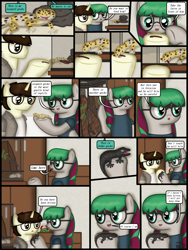 Size: 1750x2333 | Tagged: safe, artist:99999999000, oc, oc only, oc:cwe, oc:li anna, gecko, leopard gecko, pegasus, pony, comic:visit, clothes, comic, female, glasses, male