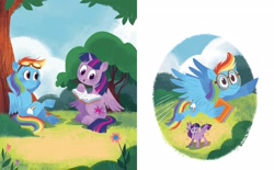 Size: 2268x1406 | Tagged: safe, artist:zoe persico, rainbow dash, twilight sparkle, alicorn, pegasus, pony, g4, official, book, cloud, female, flower, flying, little golden book, mare, rainbow dash: reading rainboom, reading, tree, twilight sparkle (alicorn)