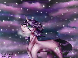 Size: 3600x2672 | Tagged: safe, artist:blackcloud2000, oc, oc only, pony, unicorn, female, high res, mare, snow, solo