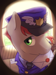 Size: 2872x3850 | Tagged: safe, artist:aquoquoo, care package, special delivery, pegasus, pony, g4, clothes, cute, fisheye lens, hat, high res, letter, mailpony, mailpony uniform, male, mouth hold, necktie, solo, stallion