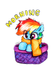 Size: 952x1269 | Tagged: safe, artist:liaaqila, rainbow dash, pegasus, pony, basket, clothes, cute, dashabetes, female, filly, filly rainbow dash, good morning, if i fits i sits, liaaqila is trying to murder us, liaaqila is trying to murder us with dashabetes, morning ponies, scarf, simple background, solo, transparent background, weapons-grade cute, younger