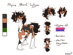 Size: 4000x3000 | Tagged: safe, artist:rover, artist:rrrover, oc, oc:bert, cat, cat pony, original species, pony, unicorn, curly hair, curly mane, reference, reference sheet