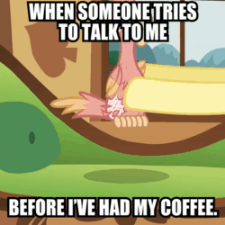 Size: 1080x1080 | Tagged: safe, edit, edited screencap, screencap, fluttershy, philomena, pegasus, phoenix, pony, a bird in the hoof, g4, official, season 1, animated, caption, cropped, facebook, female, image macro, impact font, mare, meme, offscreen character, solo focus, text, webm