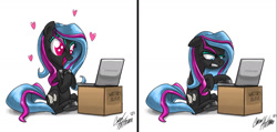 Size: 1681x797 | Tagged: safe, artist:ceehoff, oc, oc only, oc:obabscribbler, earth pony, pony, angry, computer, duo, earth pony oc, female, grumpy, heart, laptop computer, mare, signature, simple background, sitting, white background