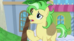 Size: 1920x1080 | Tagged: safe, screencap, saturn (g4), earth pony, pony, friendship university, g4, bag, las pegasus resident, male, raised hoof, solo, stallion