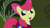 Size: 1920x1080 | Tagged: safe, screencap, apple bloom, earth pony, pony, g4, my little pony: friendship is magic, season 1, stare master, 1080p, adorabloom, apple bloom's bow, bow, cape, clothes, cmc cape, cute, everfree forest, female, filly, hair bow, solo