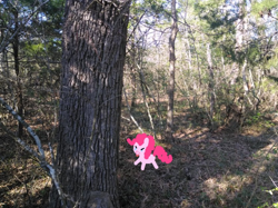 Size: 838x628 | Tagged: safe, artist:breezietype, edit, pinkie pie, earth pony, pony, g4, edited photo, female, forest, mare, outdoors, photo, solo, tongue out, tree