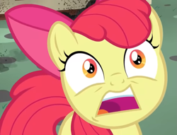 Size: 921x704 | Tagged: safe, screencap, apple bloom, earth pony, pony, bloom & gloom, g4, season 5, close-up, cropped, open mouth, scared, solo, volumetric mouth