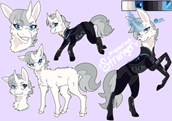 Size: 1613x1142 | Tagged: safe, artist:vapyrwaves, oc, oc only, oc:mysterious stranger, pony, unicorn, armor, chest fluff, reference sheet, solo