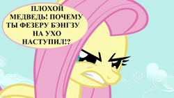 Size: 1280x720 | Tagged: safe, edit, edited screencap, editor:korora, screencap, fluttershy, g4, putting your hoof down, angry, cyrillic, implied feather bangs, literal metaphor, misspelling, russian, speech, speech bubble, talking, translated in the description