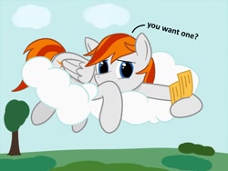 Size: 1600x1200 | Tagged: safe, artist:wzngtx, oc, oc:felix gulfstream, pegasus, pony, cloud, lying down, lying on a cloud, male, on a cloud, ticket