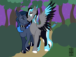 Size: 2732x2048 | Tagged: safe, artist:darktimemunk, oc, pegasus, pony, couple, high res, night