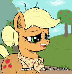 Size: 1062x1096 | Tagged: artist needed, safe, applejack, earth pony, pony, g4, clothes, empire of dust, hair bun, older, older applejack, shawl, solo, tired